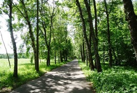 фото 9