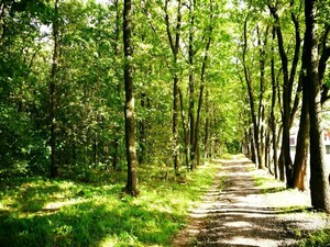 Красота природы